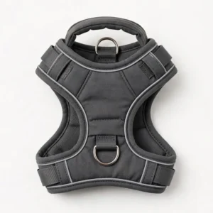 No-pull dog harness with dual leash clips — custom wholesale by TailyGlow