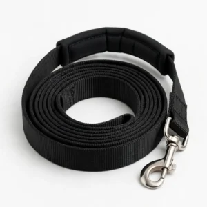 Heavy-duty nylon dog leash with padded handle — custom wholesale by TailyGlow