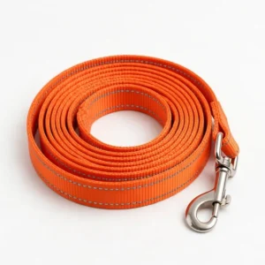 Reflective nylon dog leash — custom wholesale by TailyGlow