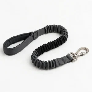 Bungee shock-absorbing dog leash — custom wholesale by TailyGlow