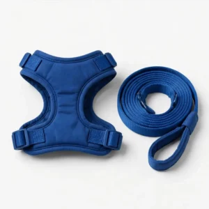 No-pull dog harness and leash set — custom wholesale by TailyGlow
